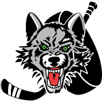 Чикаго Вулвз